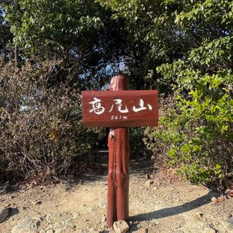 高尾山山頂に到着しました