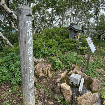 山頂到着