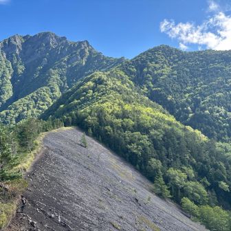 青薙　笛でエルコンドルパサーを吹いている人がいました🎵　とても上手でした　南米か😆