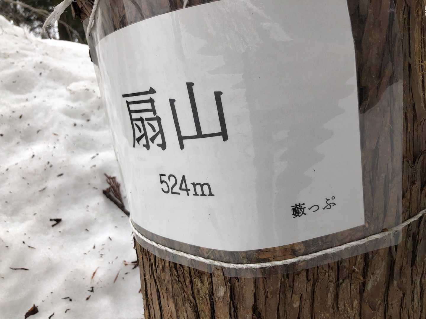 扇山の"薮っぷ標識"
前に😺きち猫さんと来た場所です😊

まだ綺麗に残ってました👍

