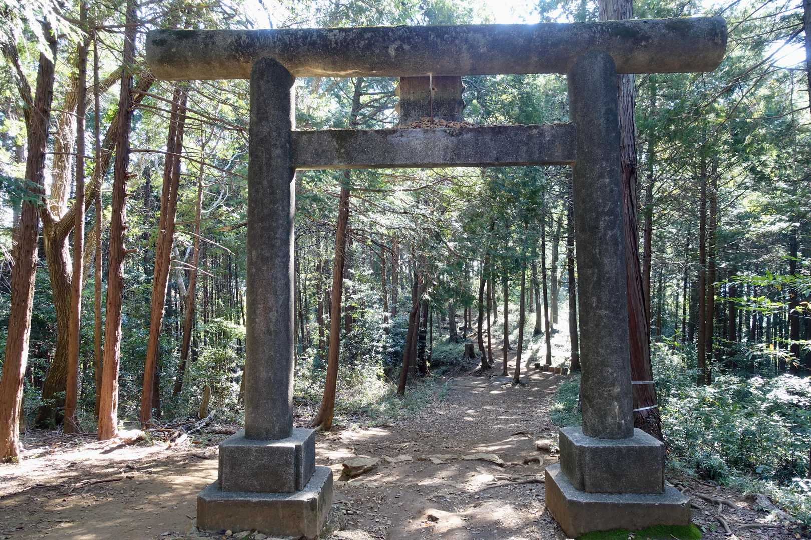 日和田山登山口-金刀比羅神社-日和田山-高指山 往復コースの写真