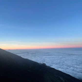 🌈ペリカン🌈