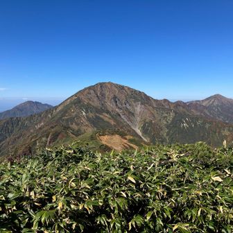 三山揃い踏み