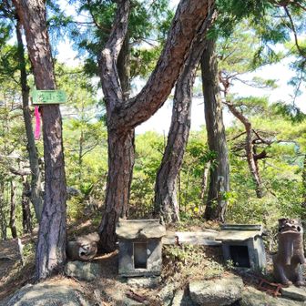 登頂〜🙌
石祠や狛犬が安置されている