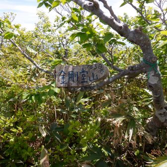 中金剛堂山
最高点です。