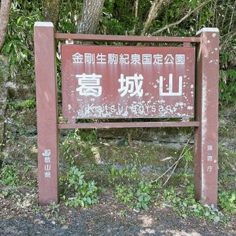 ここにも和泉の文字はなし