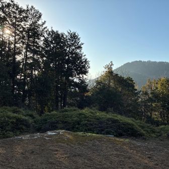 的山南峰に戻って大日山を振り返る。
往路では写真右のシダ薮に入るが間違い😑
左の方が正解です。復路はちゃんとここから出てきたよ。