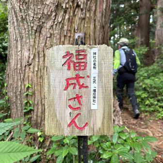 『福成さん』きたぁ〜⛩️