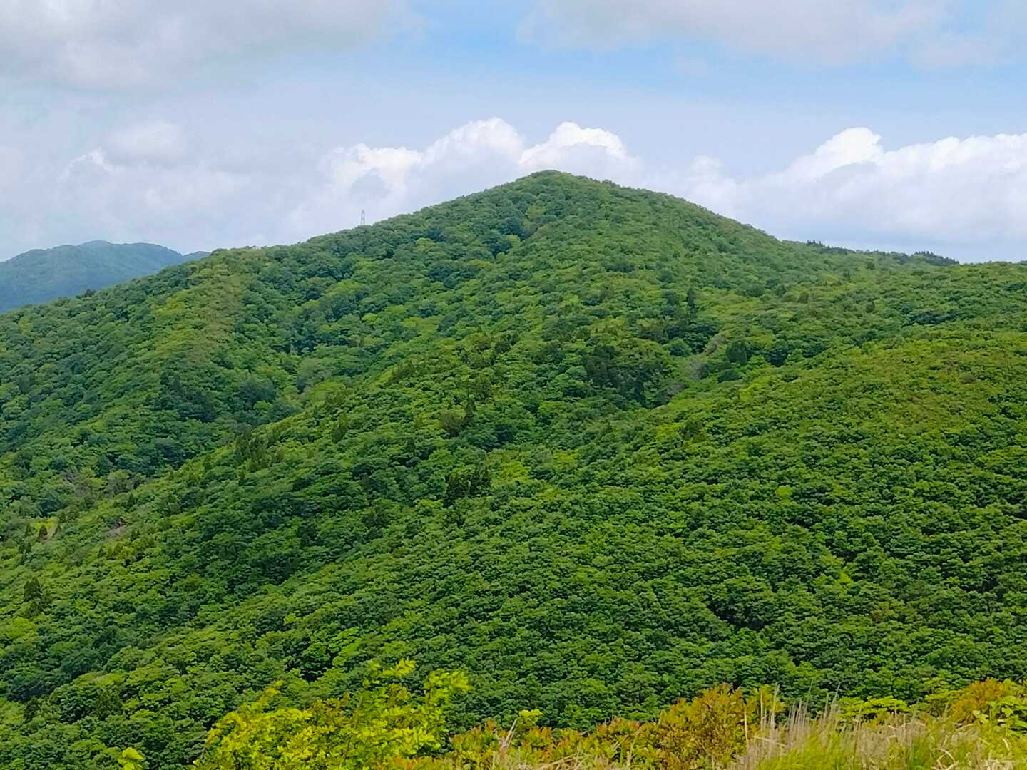 三国山の写真