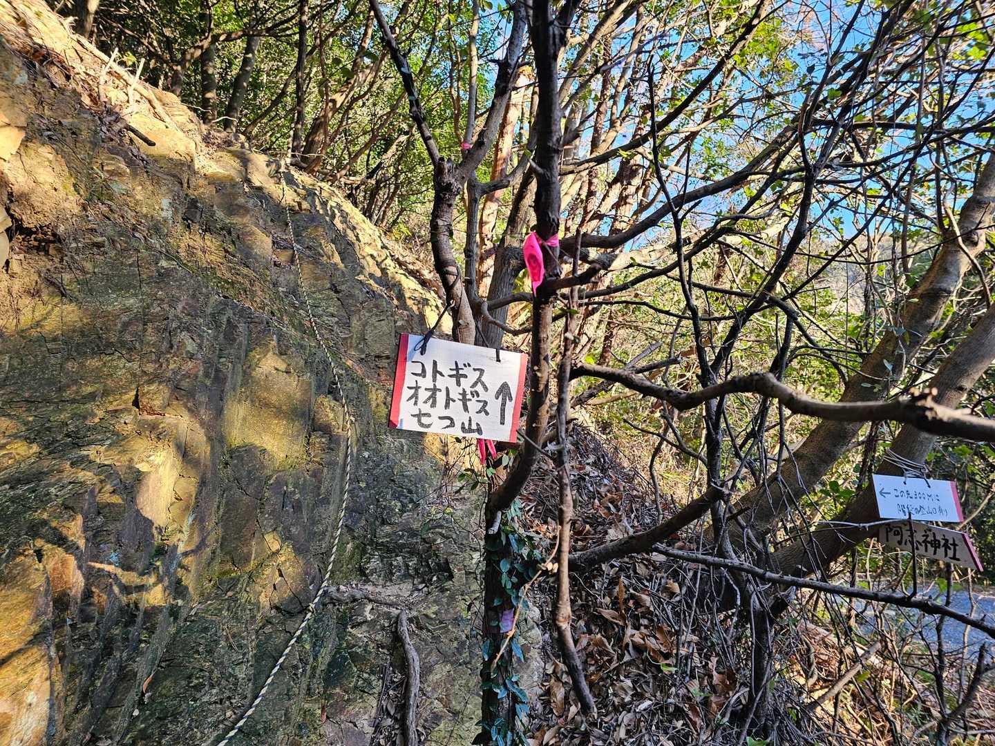 険しい感じ
よじ登り登山口に😁😁😁💨