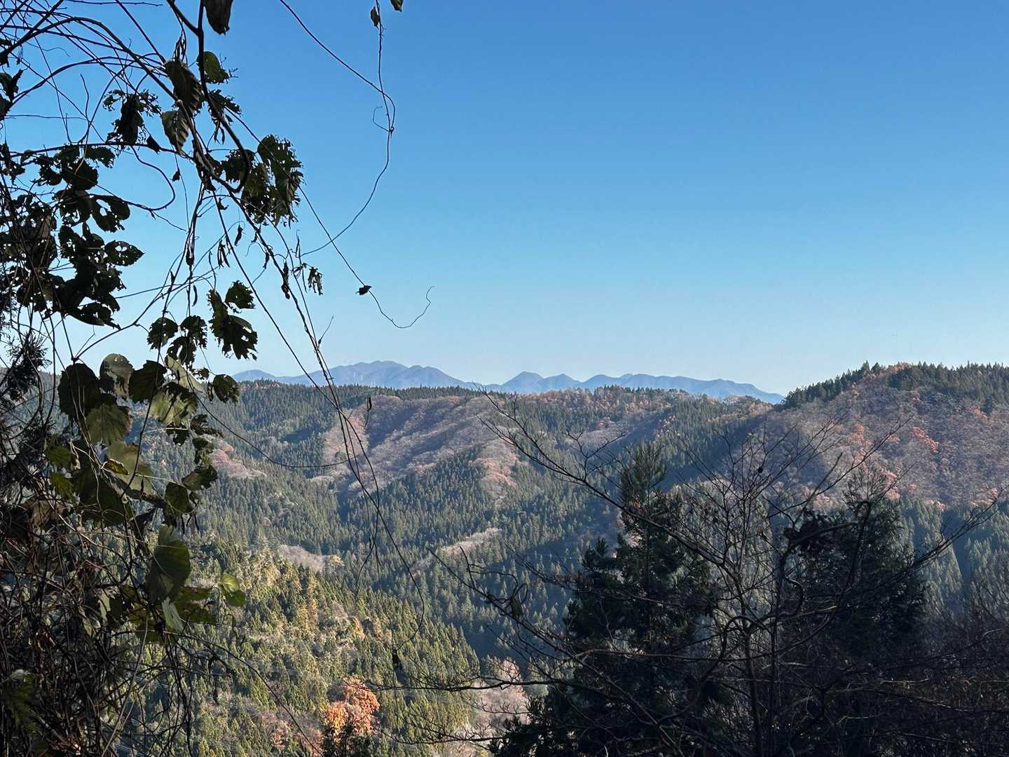 榛名の山々が見える