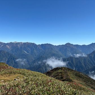 山頂からは圧巻の後立の景色
右から鹿島槍、五竜、唐沢、白馬三山
今年歩いた八峰と不帰キレットも
こんな感じで見えてる😃