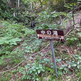 左に見えるのが中の滝