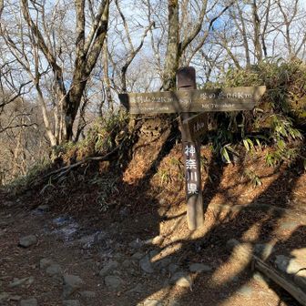 金冷し。帰りはここで鍋割山に。