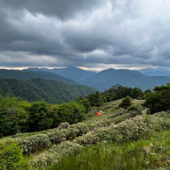 西島
下りは祖谷川源流の道へ