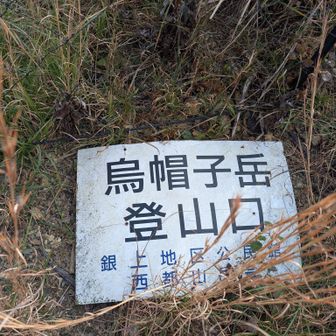 ここを探すのに少し手こずる
隠れていた