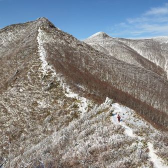 トンガリ山への稜線を行く