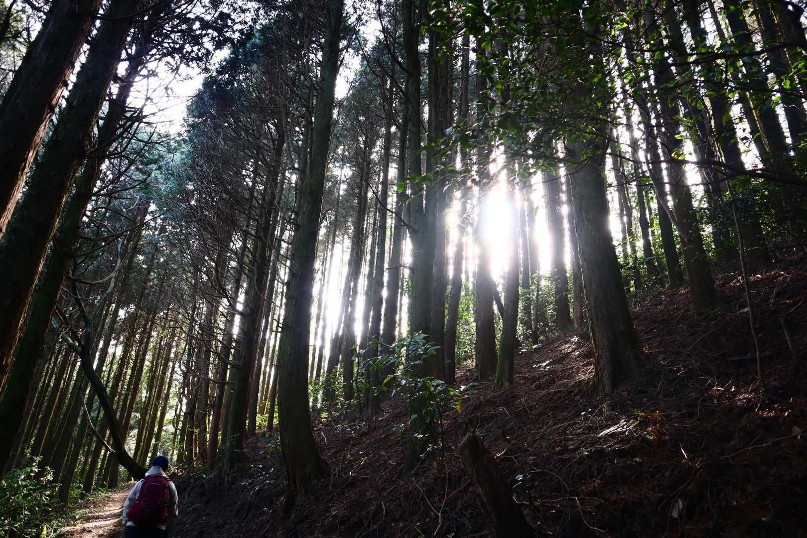 文珠山-嘉納山 往復コースの写真
