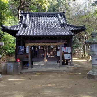 登ってみたらこれまたやっぱり神社でした。丁度いい初詣ですね。