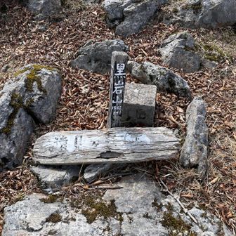 確かに黒い石があった。