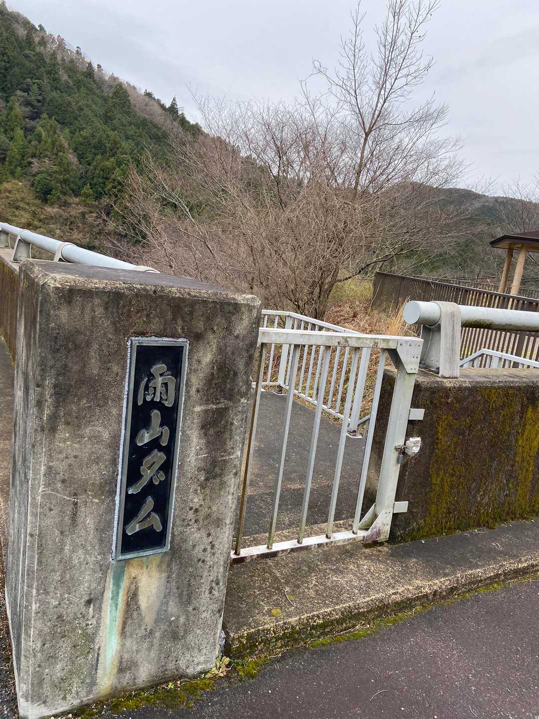 帰って来ました♪
