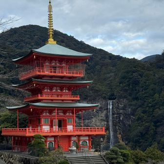 三重塔とのコラボも良いですね