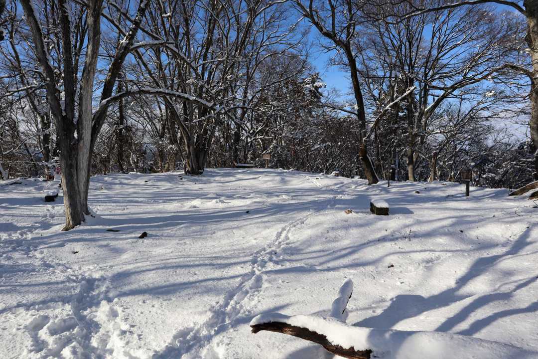 あっという間に山頂に到着。