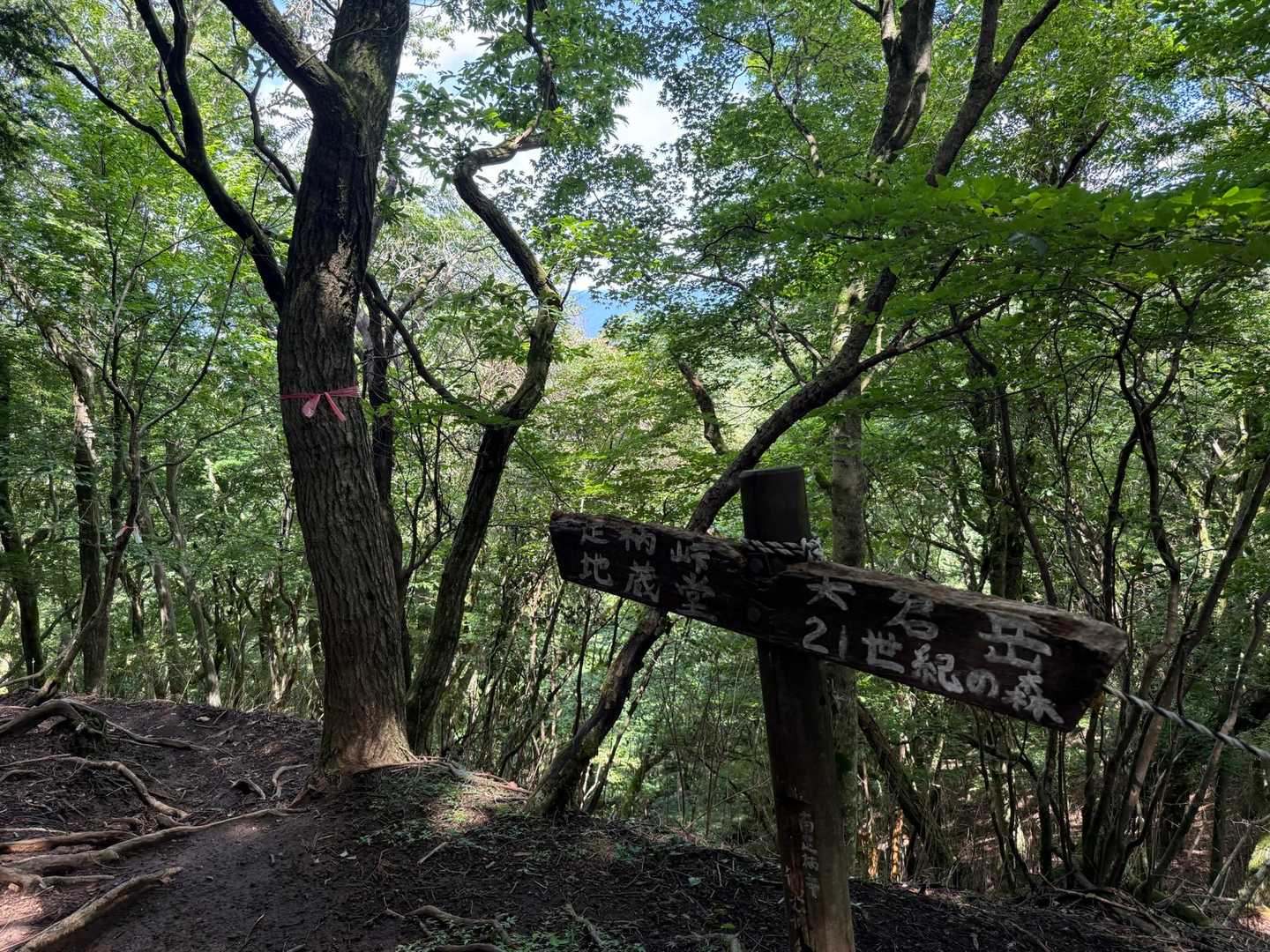 矢倉沢バス停-矢倉沢登山口-矢倉岳-清水越-地蔵堂バス停 縦走コースの写真