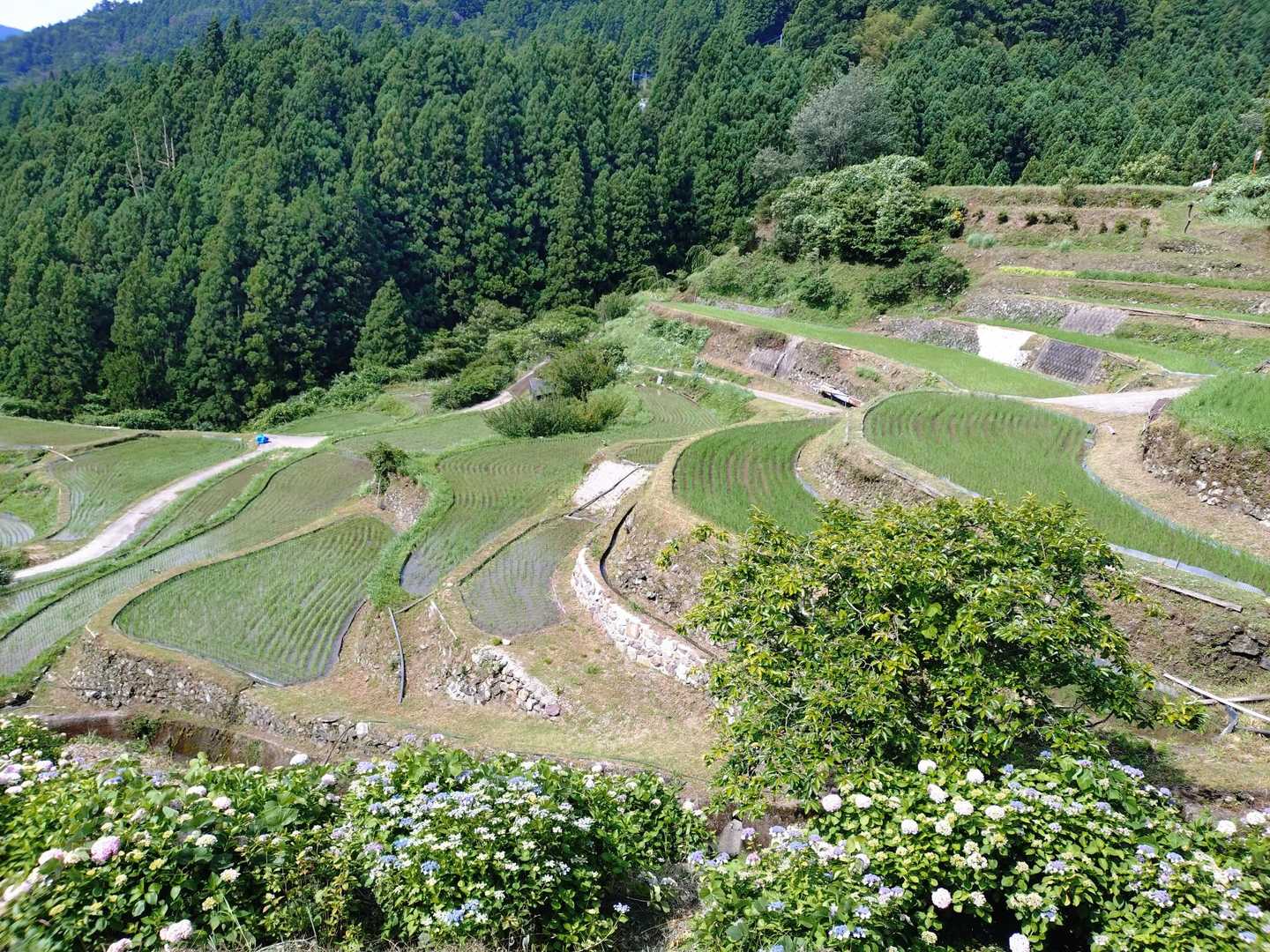 山犬嶽登山口-山犬獄 往復コースの写真