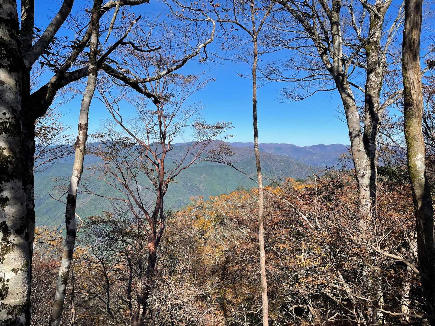 山々👍