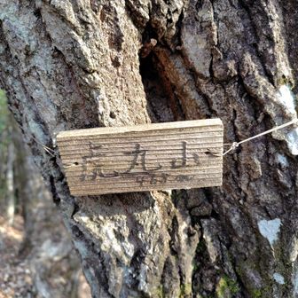 虎丸山468m
かなり急で、ロープを張ってくれていました。時間も押しているので、一気に登って
