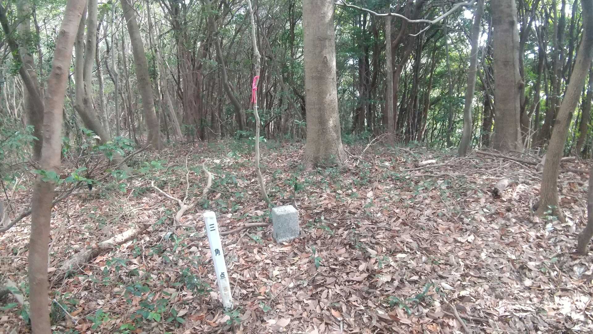 何とか山頂到着😅