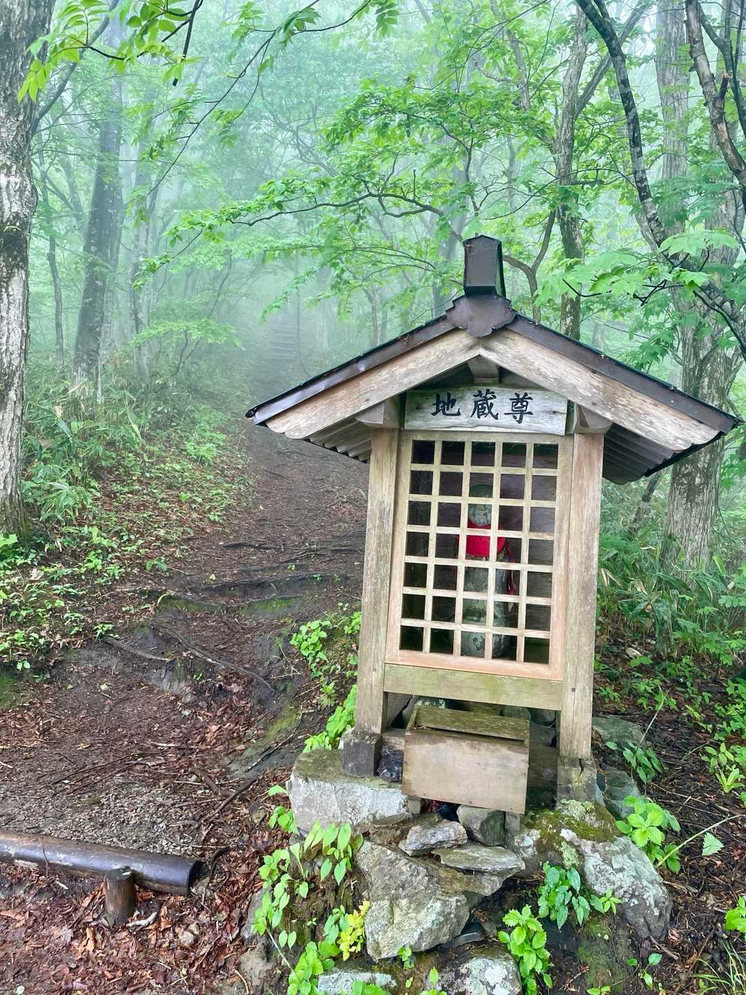 ここに戻ってくる少し前に、日浦山のマドンナ✨じゅんさん✨にお会いしました！
いや〜っ、オーラって言うかピュアって言うかも〜っ、輝いてましたね✨✨