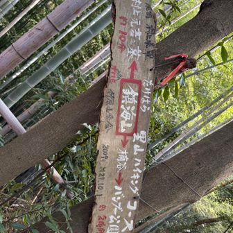道標がたくさんあり道迷いはありません