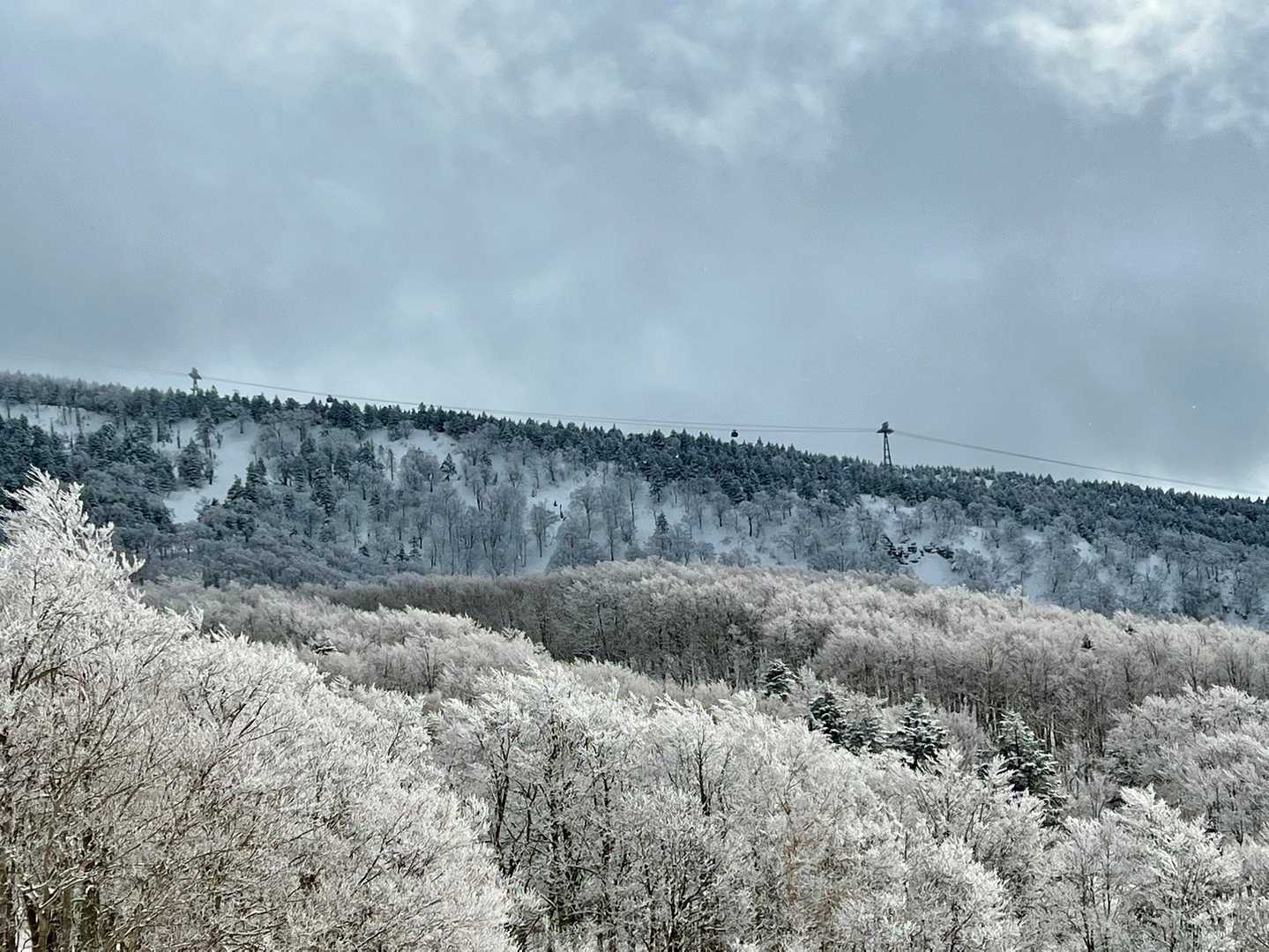 鳥兜駅発着｜日本百名山・蔵王山の沼めぐり周回コースの写真