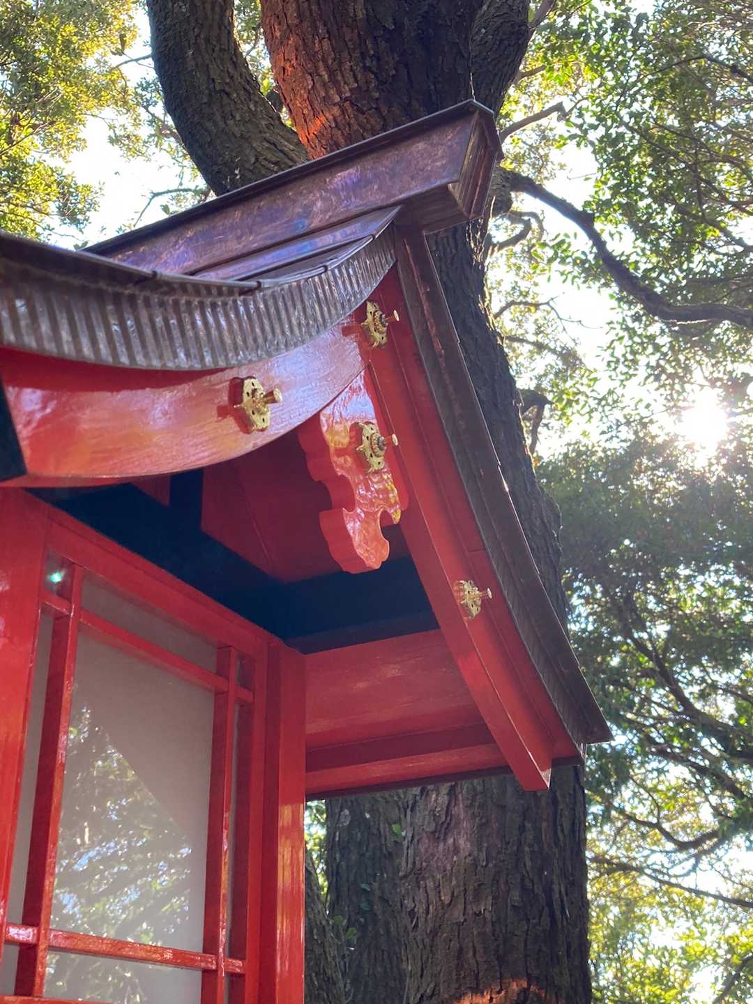 などと戯言を言いながら。。陣が丸行こ！