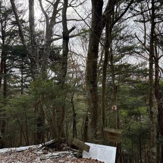 『楊柳山』（ようりゅうさん）登頂💨
写真には映らなかったが登頂した瞬間に凄い眩い･･とても神々しい陽が射した☀️