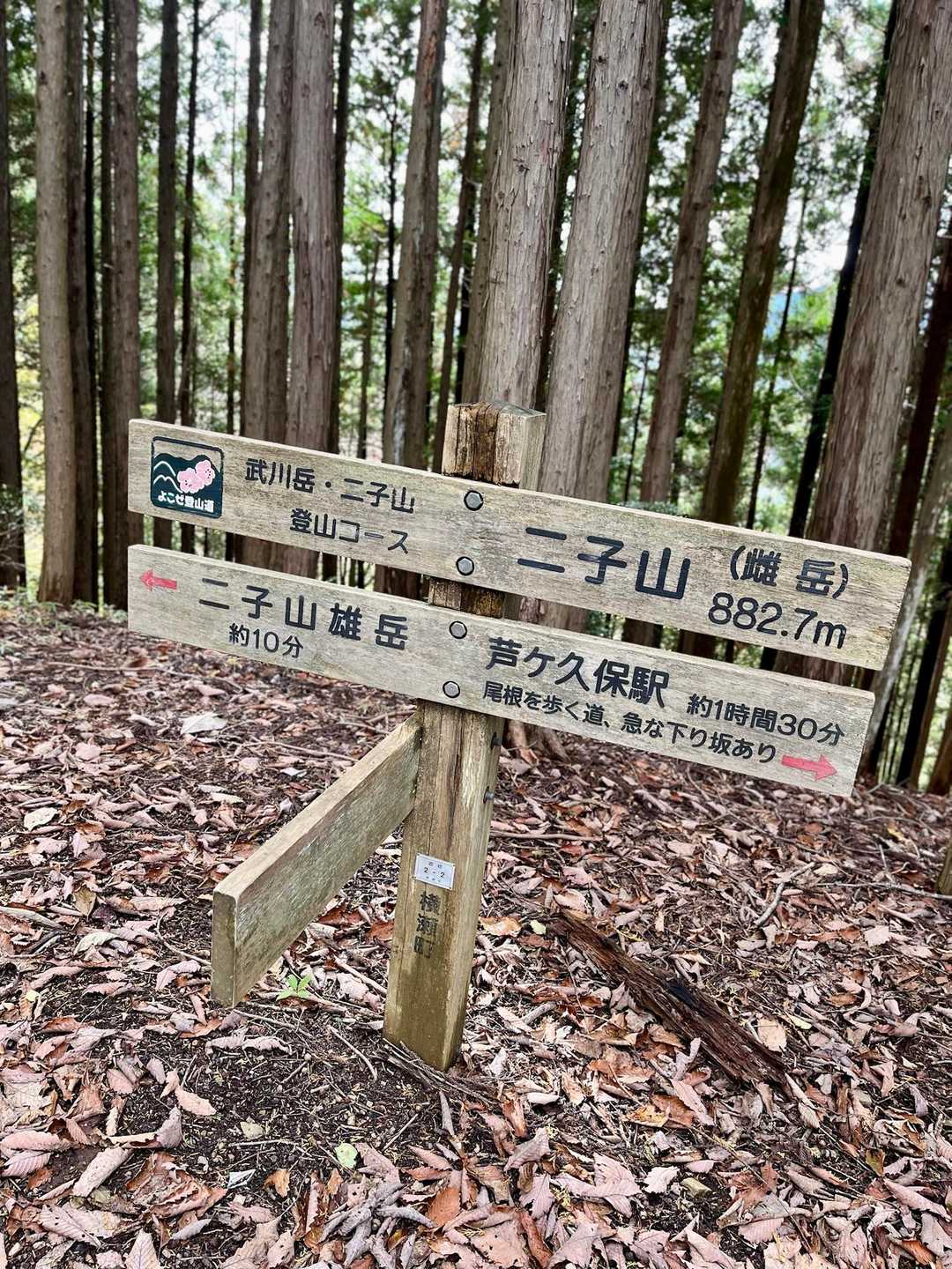 二子山（雌岳）到着⛰️
眺望なし🙅‍♀️
山頂手前から急登ロープ場の連続でした💪