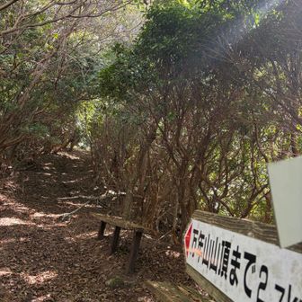 歩きやすい🚶🚶‍♂️