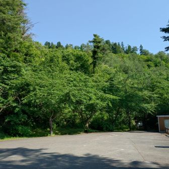 さあ、山頂にある一の曲輪へ向かいます。そして自動車もここまで来れます。