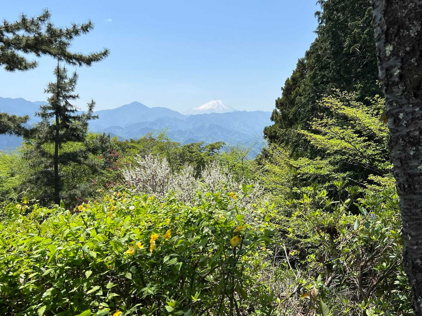 高尾山口駅-高尾山-城山-いろはの森 縦走コースの写真