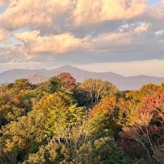 米山