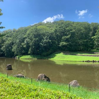 公園内は、手入れされています。