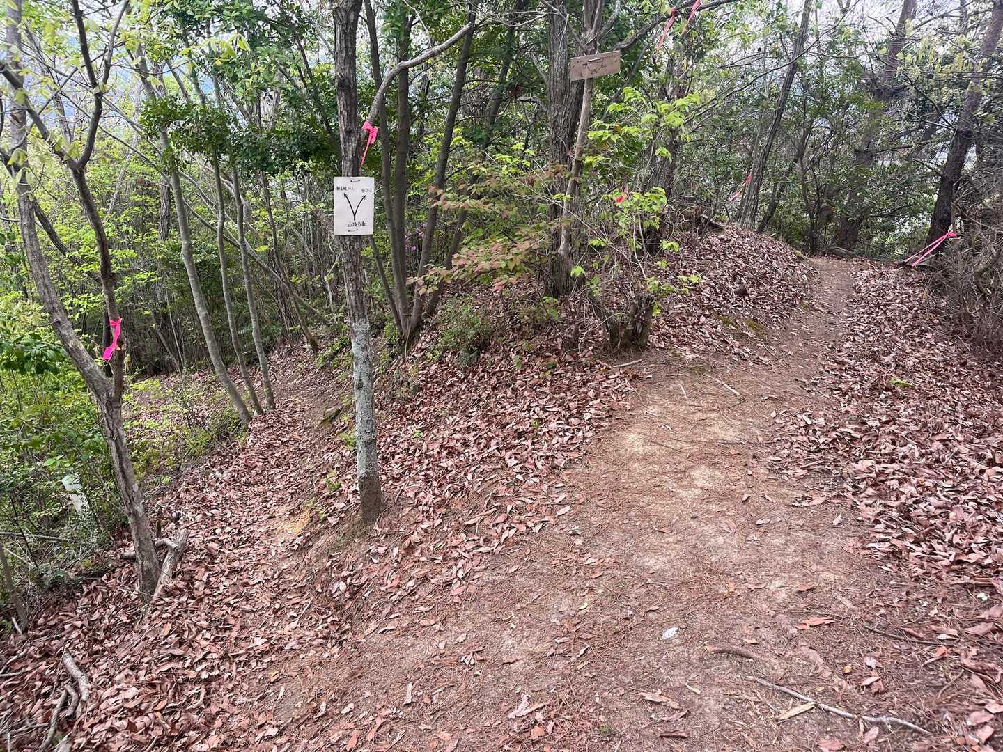 黒瀬ダム-向山登山口-向山-仏平山-仏平山南口-岩幕山-日 周回コースの写真