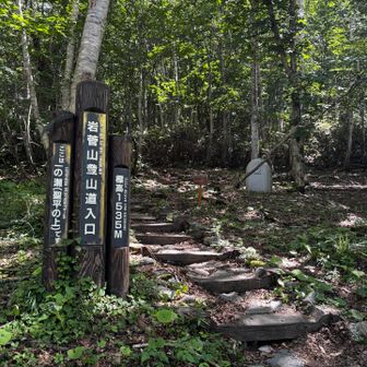 登り3時間、下り2時間15分。数字で予想してたよりもラクラクな、お手軽登山でした。いい山でした。