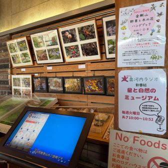 スタンプカードをもらう前に説明動画を見る。
