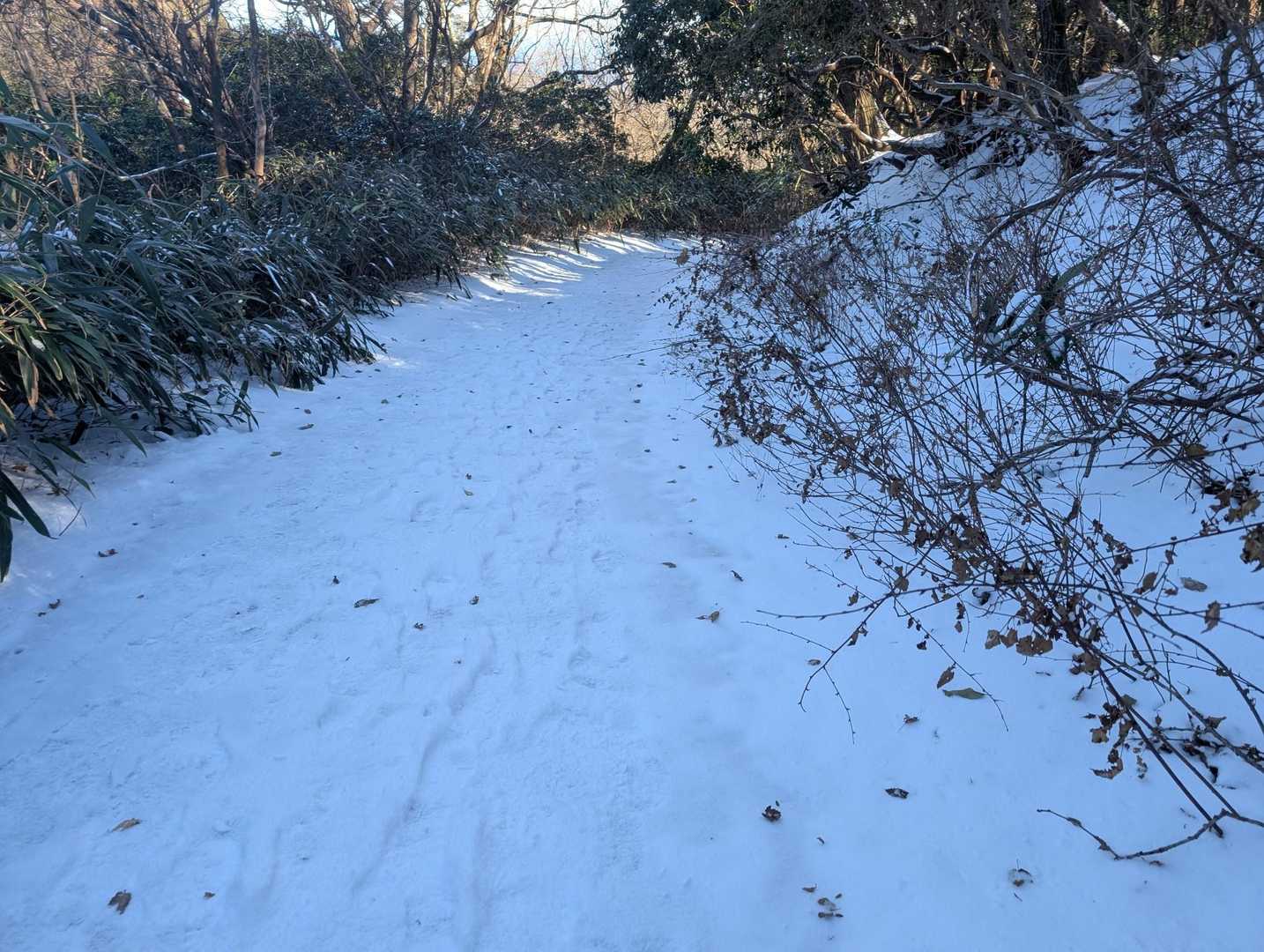 さあ、帰ります
ここからです💦
滑らないように💦💦
ソロリソロリソロリソロリ
ソロリソロリソロリソロリ
ソロリソロリソロリソロリ
