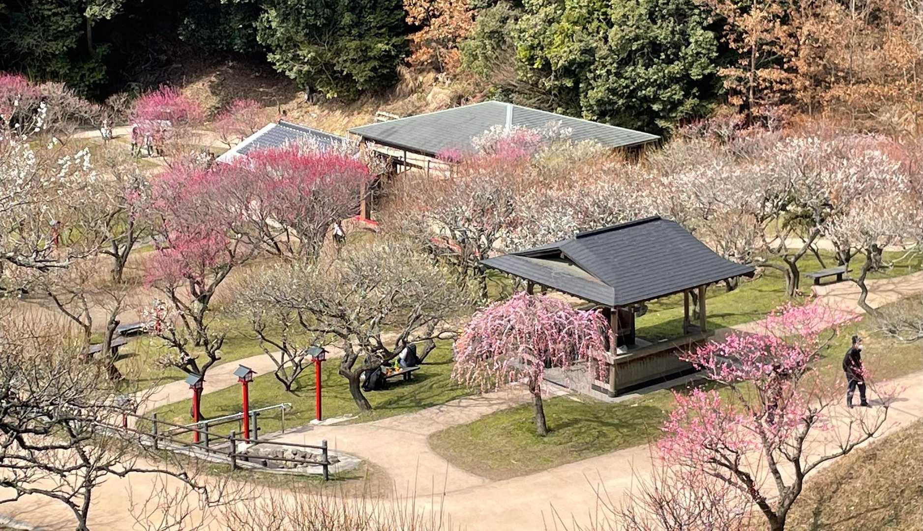 白馬山 周回コースの写真