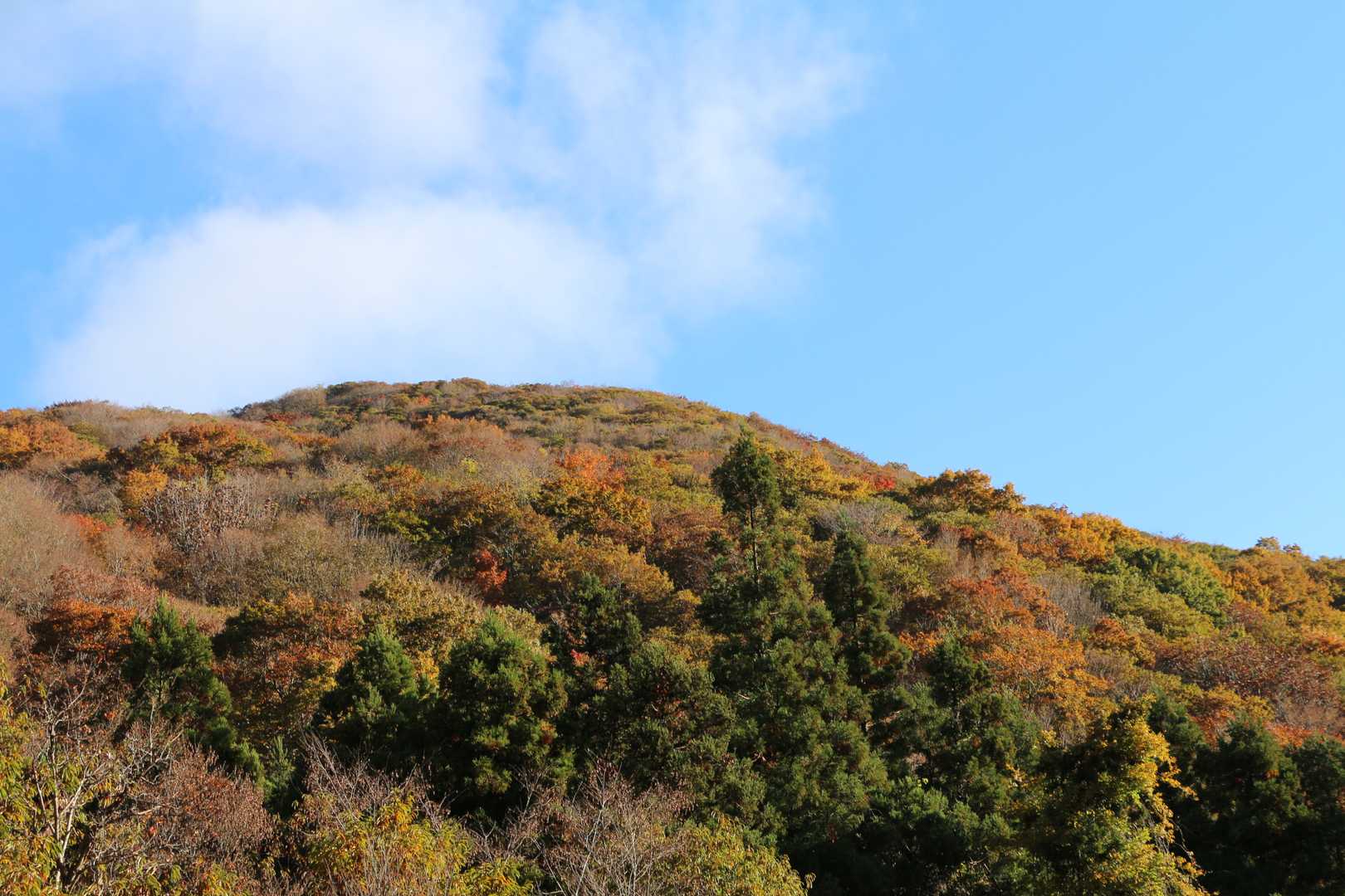 牛曳山登山口-伊良谷山-毛無山-出雲峠 周回コースの写真