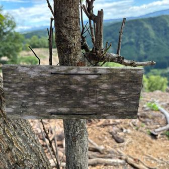 古くなってよくわからないが「傘山」と書いている